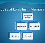 Image result for Varieties of Long-Term Memory Chart