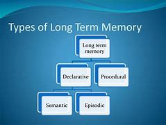 Image result for Different Types of Memories