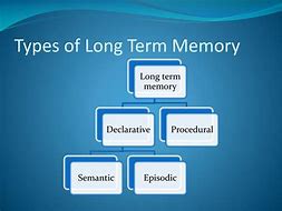 Image result for Examples of Long-Term Memory