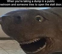 Image result for Animal Memes No Words