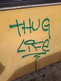 Image result for Who Is Thug Life