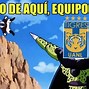 Image result for Rayadas Monterrey Memes