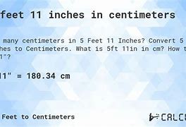 Image result for 5 Feet 11 Inches in Cm