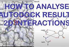 Image result for AutoDock Results