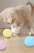 Image result for Catnip Ball Toys