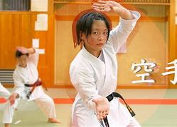 Image result for Japanese Karate Styles