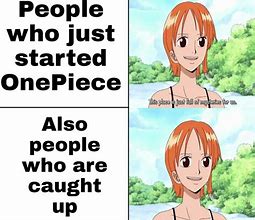 Image result for One Piece Dub Meme