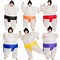 Image result for Sumo Wrestling Suits