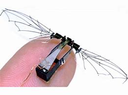 Image result for Micro Flying Robot
