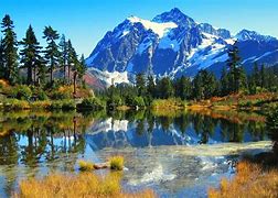 Image result for High Resolution Mountain Forest
