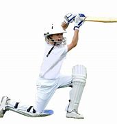 Image result for Cricket Cutter