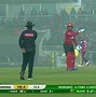 Image result for Animated Cricket Bug