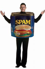 Image result for Spam Can Costume