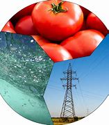 Image result for Water Food and Energy