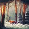 Image result for 4K Anime Forest with Fox Wallpaper