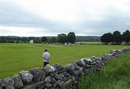 Image result for Cricket Pitch Vector