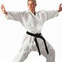 Image result for Kata 4 Karate