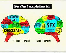 Image result for Women Brain Meme