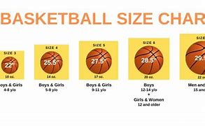 Image result for Basketball NBA Size Balls