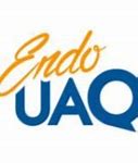 Image result for Endo Uaq