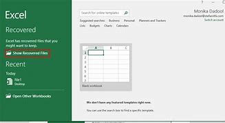 Image result for Recovered Documents Excel