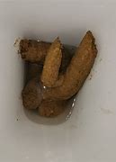 Image result for Modem Poop