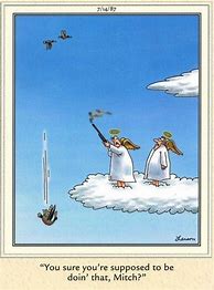 Image result for Far Side Cartoons Heaven
