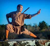Image result for Shaolin Kung Fu Sword