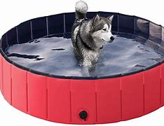 Image result for Collapsible Dog Pool