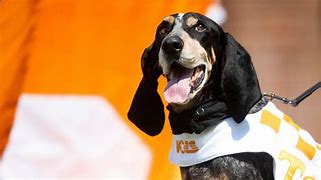 Image result for U of T Smokey