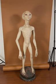 Image result for Classic Alien Humanoid