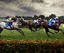 Image result for Race Horse Racing