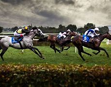 Image result for Racing Horses 256X256