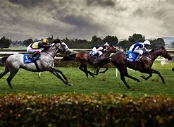 Image result for Horse Racing Stock Photos