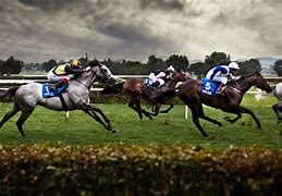 Image result for Racehorse Background