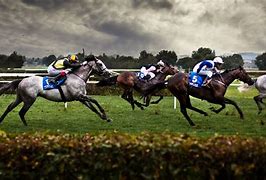 Image result for Horse Racing Photos Free
