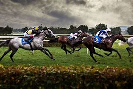 Image result for Racing Horse Wallpaper HD