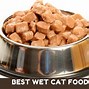Image result for Best Cat Food for Kittens