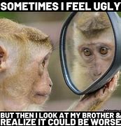Image result for Monkey Memes Clean
