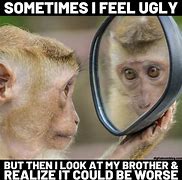 Image result for Monkey Work Meme