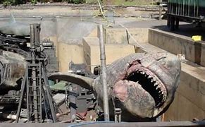 Image result for Jaws Ride Drained
