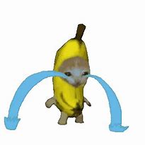 Image result for Banana Cat Meme