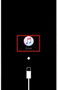 Image result for Reset iPhone 6s Camera