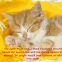 Image result for Cat Nap Quotes