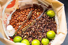 Image result for Mexican Cricket Snack