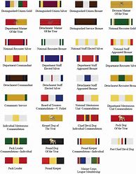 Image result for Marine Service Ribbons
