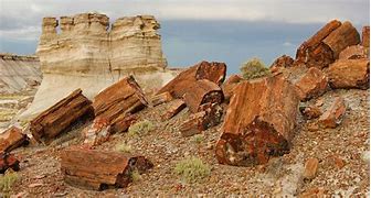 Image result for Petrified National Forest AZ