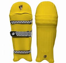 Image result for Cricket Pad PC King Bag