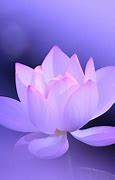 Image result for iPhone Walpapper Pink and Purple