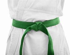 Image result for Green Belt Martial Arts